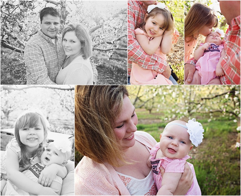 orchard, fall, Showalter's orchard, peachy perfect