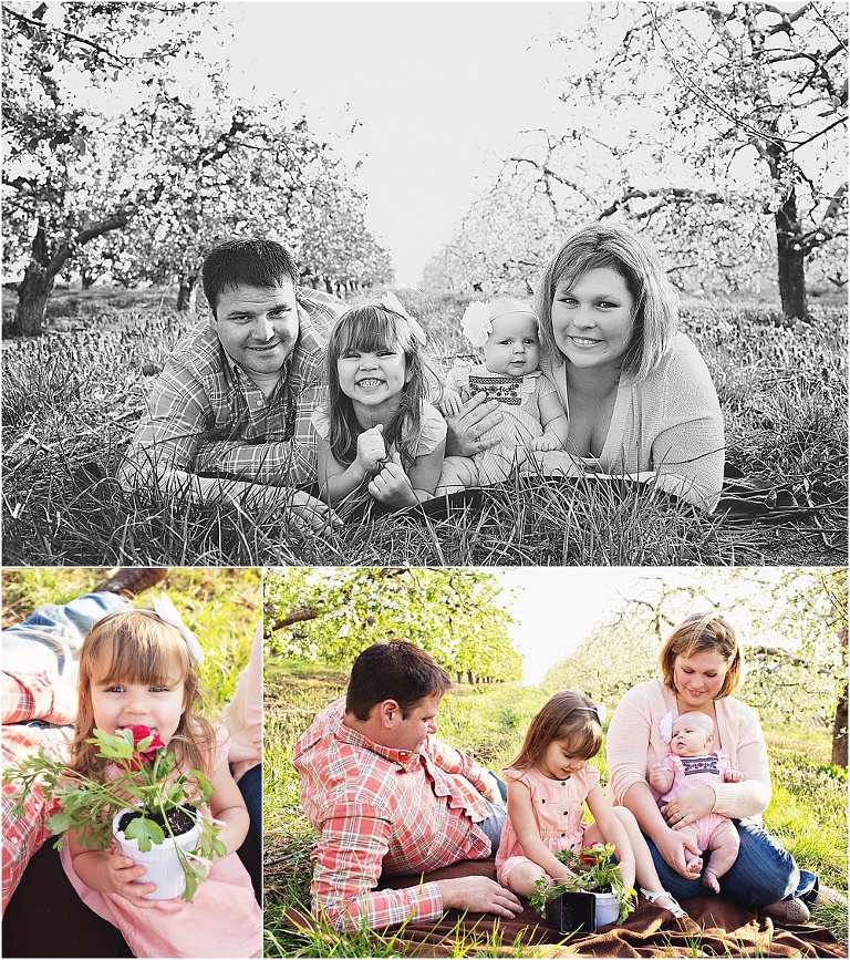 Orchard, fall, family photographer
